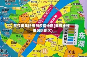 武汉低风险级别疫情地区(武汉全域低风险地区)