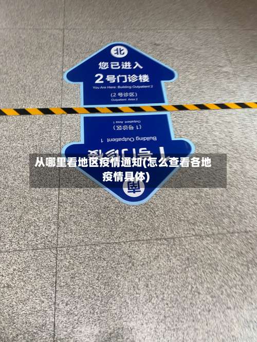 从哪里看地区疫情通知(怎么查看各地疫情具体)-第2张图片