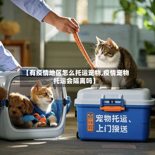 【有疫情地区怎么托运宠物,疫情宠物托运会隔离吗】-第3张图片