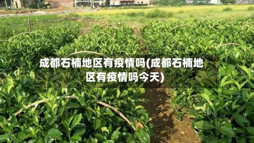 成都石楠地区有疫情吗(成都石楠地区有疫情吗今天)-第1张图片