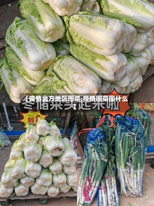 【疫情北方地区囤菜,疫情囤菜囤什么】-第2张图片