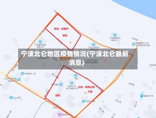 宁波北仑地区疫情情况(宁波北仑最新消息)-第1张图片