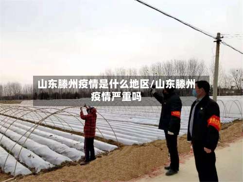山东滕州疫情是什么地区/山东滕州疫情严重吗-第1张图片