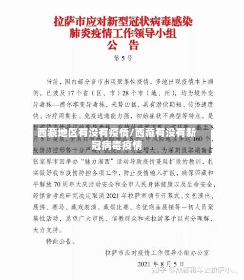 西藏地区有没有疫情/西藏有没有新冠病毒疫情-第2张图片