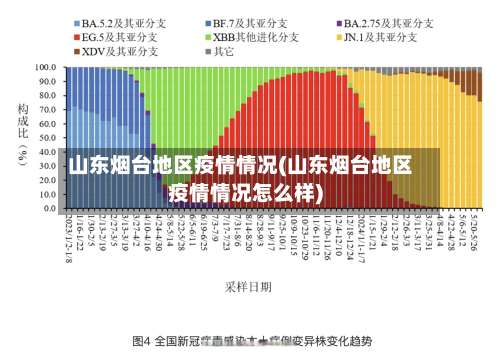 山东烟台地区疫情情况(山东烟台地区疫情情况怎么样)-第1张图片