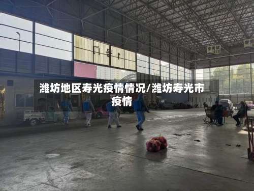 潍坊地区寿光疫情情况/潍坊寿光市疫情-第1张图片