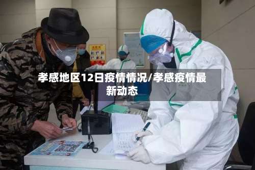 孝感地区12日疫情情况/孝感疫情最新动态-第1张图片